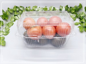 과일포장용기 K-2000K  140개  토마토 완숙2kg 일회용 PET 투명팩 KMD